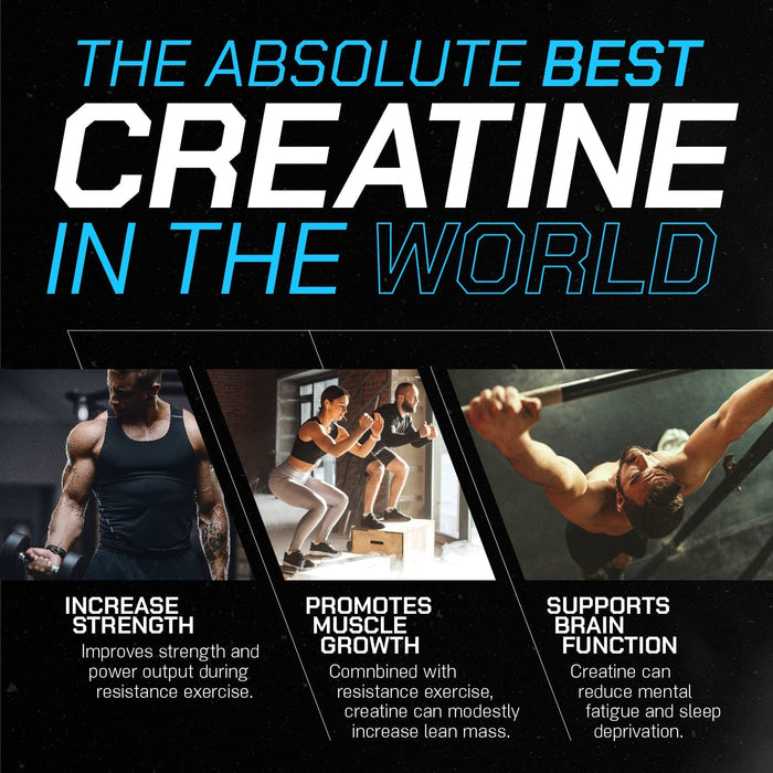 Creatina Premium con certificación Creapure® Muscle Feast