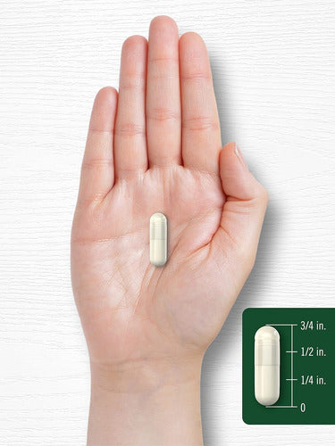 Suplemento Dim Complex 350 Mg Liberacion Rapida Carlyle