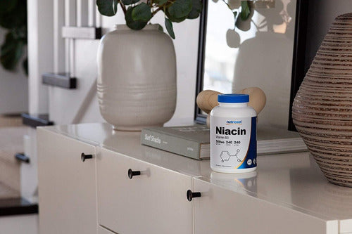Niacina 500 Mg Vitamina B3 Acido Nicotinico Nutricost